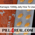 Kamagra 100Mg Jelly How To Use 43